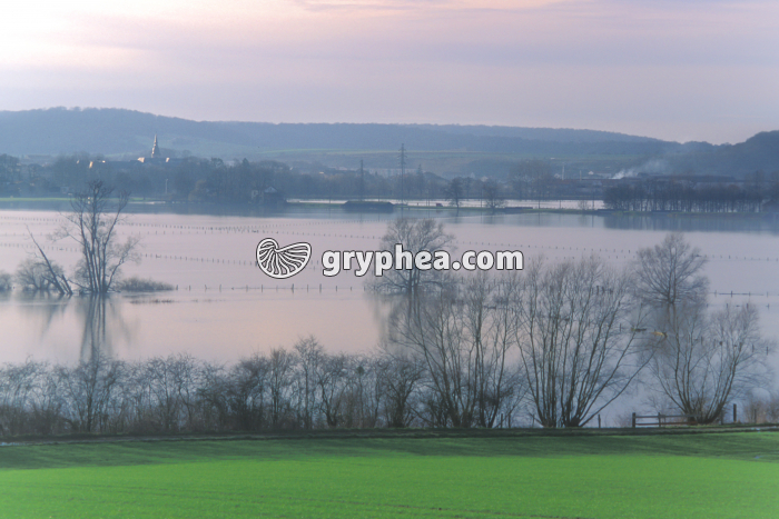 Inondation dans la Meuse - gryphea.com